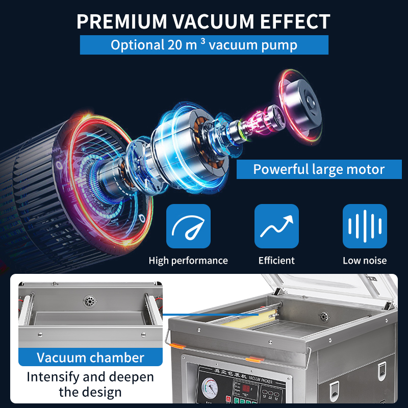 Dz-400 Professional  Desktop V - Vacuum Sealer ulasan dan harga